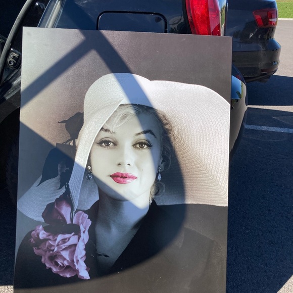 Cadre Marilyn Monroe rare fleurs - Picture 2 of 2